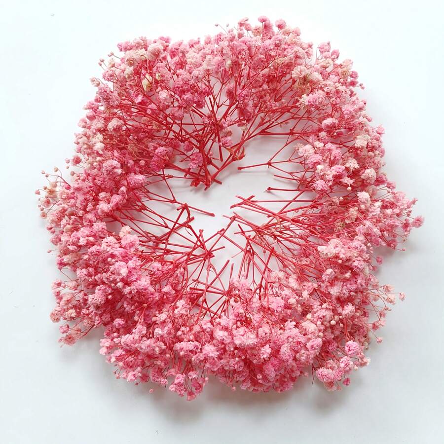 50/100 Pink Baby Breath Natural Preserved Bouquet Boxes | Bulk Daisies For Weddings, Home Decor & Floral Arrangements, Suitable For Wedding Decorations, Invitation Envelope Accents, DIY Crafts, Boutonnieres, Home Decor, Desk Decor, And Office Decor - Multicolor - View 1