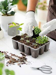 5个透明塑料12孔育苗盘，带排水孔，轻便，适用于室内/室外园艺、蔬菜和香草种子发芽 - B - 查看 3