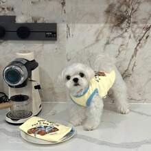 可爱牛角面包图案狗狗T恤，撞色滚边，适合泰迪犬、贵宾犬、小型犬，春秋季宠物服装，透气防掉毛宠物服 - 黃色 - 查看 6