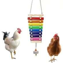 Chicken Toys & Accessories - Wooden Xylophone, Colorful Parts, Hanging Chains, Grinding Stones For Beak & Calcium Supplement. Some Accessory Colors Are Random - Multicolor - View 1