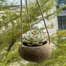 天然椰殼吊掛花盆 2 入組，附麻繩吊掛籃，適合室內植物、居家園藝牆面裝飾 - A - 查看 4