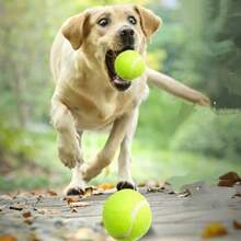 1/3/5 件装宠物训练玩具，狗狗磨牙球，防咬宠物玩具球 - 彩色 - 查看 9