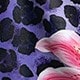 Lila Leopardenmuster