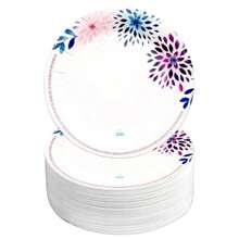 Disposable Plates, Bowls & Cutlery - 100 Pc Plate 9 Purple Border - View 1