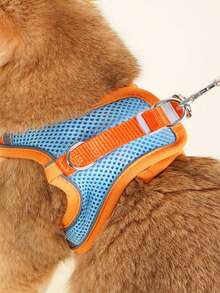 Reflective Vest-Style Dog Leash For Kittens, Small Dogs & Cats, Chest Harness Leash To Prevent Pulling, Escape-Proof For Small Pets - Multicolor - View 4