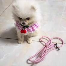 Cute Cherry Plaid Pet Harness And Leash Set, Suitable For Small Dogs & Cats, Breathable Vest-Style Harness, Lace Ruffle For Puppies & Kittens, Adjustable Outdoor Travel Leash - Pink - View 6