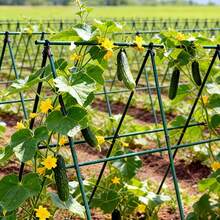 18pcs Garden Plant Climbing Trellis, Garden Support Poles, Gardening Vine Trellis, Flower Stand, Cucumber & Bean Rack, Outdoor Grape Vine Trellis, Garden Fence, Plant Climbing Support Stakes, Sturdy Garden Support Rods, Suitable For Vegetable & Flower Gardens - Plant Climbing Supports - View 2