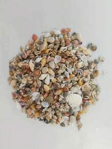 100/50個裝天然貝殼與海螺套裝，混色尺寸與多樣款式，光滑拋光海洋材質，獨特紋理，適用於DIY手工藝、水族造景、花瓶填充、家居裝飾、婚禮、海灘派對，海洋愛好者的禮物 - A - 查看 3