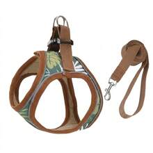 Multicolor