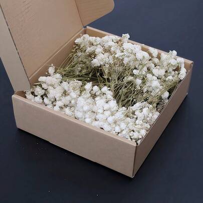25/50/110 bông hoa baby's breath mini và các loại hoa khác - Hoa giả giống thật, dùng làm thiệp và đồ thủ công DIY, trang trí bình hoa, trang trí đám cưới, vật trang trí bàn tiệc, hoa khô, cành hoa hình sao, dùng cho đám cưới, phụ kiện tóc, vòng hoa DIY, gói quà, trang trí khăn ăn, văn phòng, phòng ngủ, dụng cụ và vật liệu thủ công, thích hợp cho Ngày của Mẹ, Halloween, Lễ tốt nghiệp. Đồ thủ công làm từ khuôn nhựa, cây giả, hoa giả, tuyệt vời cho trang trí đám cưới, trang trí bàn tiệc, trang trí khách sạn, thiết kế hoa sự kiện.