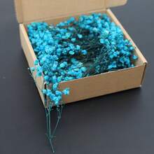 HOSY 50/100 支纯白人造迷你满天星 - 精致易DIY手工花，适用于婚礼、家居、办公室装饰、派对和花园 - 桌面波西米亚风花环，无羽毛，无需用电，适合圣诞节、感恩节和万圣节装饰，圣诞家居礼物，圣诞装饰 - 彩色 - 查看 17