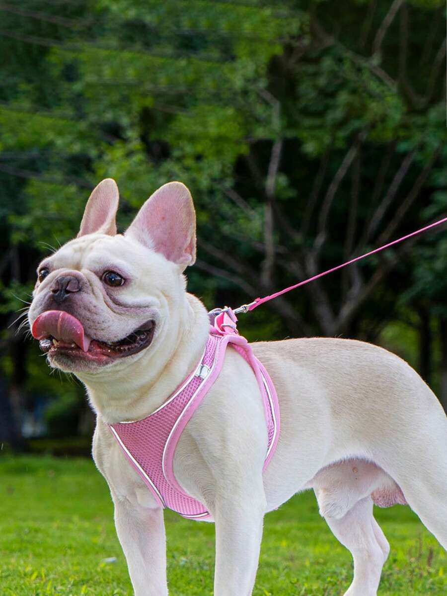 Reflective Vest-Style Dog Leash For Kittens, Small Dogs & Cats, Chest Harness Leash To Prevent Pulling, Escape-Proof For Small Pets - Multicolor - View 1