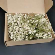 HOSY 50/100 支纯白人造迷你满天星 - 精致易DIY手工花，适用于婚礼、家居、办公室装饰、派对和花园 - 桌面波西米亚风花环，无羽毛，无需用电，适合圣诞节、感恩节和万圣节装饰，圣诞家居礼物，圣诞装饰 - 彩色 - 查看 19
