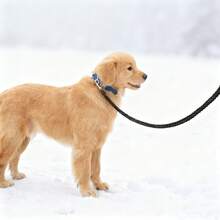 中大型犬牵引绳，8股编织宠物牵引绳，狗狗防滑绳，户外宠物用品 - 黑色 - 查看 8