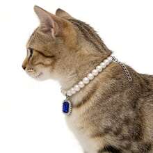Faux Pearl Elegant Cat & Dog Collar, Adjustable Size For More Practical Use, Paired With Rhinestone Pendant, Fashionable Non-Fading, Suitable For Daily Wear And Parties - Multicolor - View 5