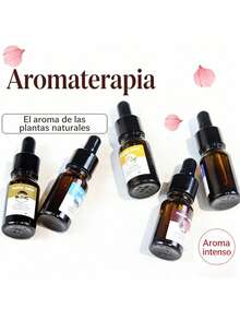 Aceite esencial soluble en agua aroma rosa 10ml, fragancia natural suave limpia el ambiente interior, calma el estado mental y facilita el descanso nocturno, compatible con difusores humidificadores y lámparas aromáticas, envase con gotero controla dosis fácil de emplear, apto para sala dormitorio oficina espacio de relajación y vehículo - Múltiples aromas - Ver 1