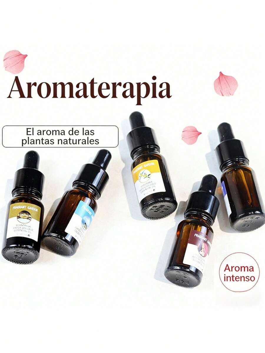 Aceite esencial soluble en agua aroma rosa 10ml, fragancia natural suave limpia el ambiente interior, calma el estado mental y facilita el descanso nocturno, compatible con difusores humidificadores y lámparas aromáticas, envase con gotero controla dosis fácil de emplear, apto para sala dormitorio oficina espacio de relajación y vehículo - Múltiples aromas - Ver 1