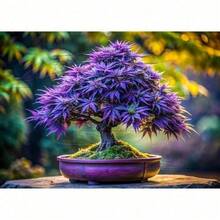 300plant Purple Willow Potted Plant - Delicate And Fresh - Hardy For All Seasons, Suitable For DIY Gardens, Home Gardens, Pots And Yards - Ideal Gardening Gifts Plants Live   Vegetable Plant Blue Snowflake Plant Plant, Gardening Flowers Plant Plant, Flowers External Plant Plant, Garden  All External Plant Plant, Mosquito Repellent Outdoor Garden Plant Plant Planting Perennial Flower Plant Plant Plant - 300種子 - 查看 4