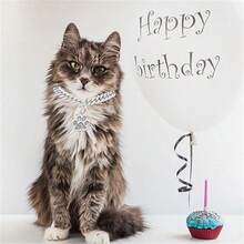 2件套嘻哈风宠物项圈，经典链搭配镶嵌水钻的猫爪吊坠，奢华狗狗项链，可调节 - 彩色 - 查看 8