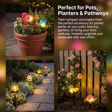 2/6pcs Solar Powered LED Animal Stake Lights, 2-In-1 Solar Animal Stake Lights For Pathway Lighting And Yard Decor - Multicolor - View 7