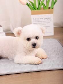 1pc Multi-Purpose Cooling Mat, Breathable & Washable Thin Pet Pad Suitable For Small/Medium/Large Cats & Dogs In Summer (Important Note: This Is A Thin Mat, Not A Thick Ice-Like Material) - Light Grey - View 7