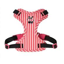 SHAGMEI 2pcs Pet Leash & Harness Set:Sweetheart Cherry Print Striped Breathable Pet Harness For Small Medium Dogs & Cats - Rose Red - View 5