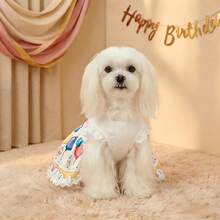 1pc Pet Dog Dress, Cake & Balloon Print Birthday Party Dress, Lace Ruffle Skirt, Suitable For Small/Medium Dogs, Cats, Birthday Party Outfit - White - View 7