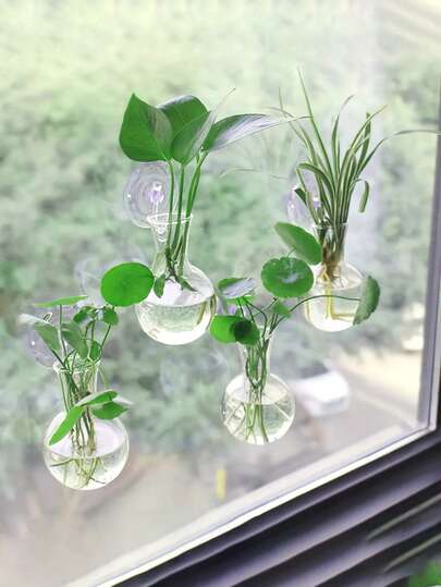 Bộ 2/4/6 chậu ươm cây treo tường - 2/4/6 chậu ươm cây mini treo tường, hình tròn tối giản hiện đại, chất liệu PET, thích hợp sử dụng trong nhà và ngoài trời, bao gồm nhiều thành phần.