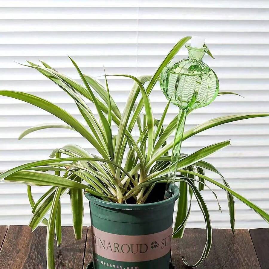 1pc Automatic Watering Device For Cactus, Creative Self-Watering Drip Irrigation Device, Suitable For Household Plants And Gardening - Pumpkin - View 1