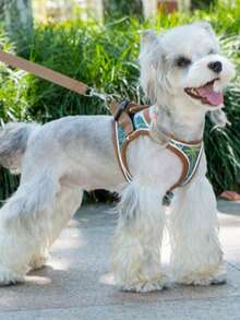 2pcs Reflective Pet Leash And Harness Set, Soft Breathable Mesh Vest With High-Visibility Reflective Stripes And Dual Metal D-Rings, Comfortable Non-Choke Dog Chest Harness, Suitable For Small/Medium Dogs & Cats, Multiple Colors Available - Multicolor - View 4