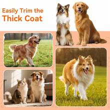 1个宠物电动理发器，电动剃毛器，带液晶显示屏的宠物美容修剪器，适用于犬猫 - 查看 9