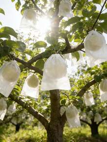 50 PIEZAS/100 PIEZAS Cubiertas permeables al agua y transpirables a prueba de insectos, con cordón oculto, bolsas de malla para frutas, adecuadas para proteger árboles frutales, manzanas y uvas de pájaros, plagas y ciervos. Cordón de ajuste. - A - Ver 7