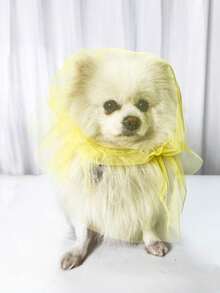 1个狗狗嘴套，方便透气防啃咬面罩，适合遛狗时佩戴，宠物头套可防止舔舐和啃咬 - 彩色 - 查看 13