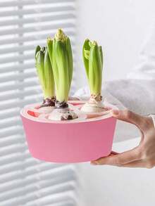 Chậu trồng thủy canh củ hoa tulip, hoa lục bình, hoa thủy tiên, loại 3 lỗ và 5 lỗ. - Nhiều kiểu dáng - Xem 10