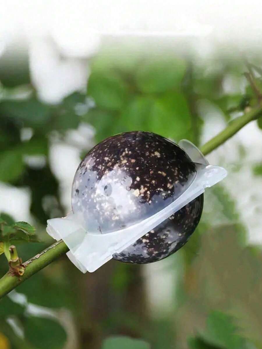 Bộ 5 hộp ươm giống áp suất cao, hộp giâm cành ghép rễ, hộp ươm giống cành cây ở vùng cao. - Một kích cỡ phù hợp cho tất cả - Xem 1