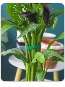 10 piezas de Lazos de Plantas Reutilizables y Ajustables - Correas de Soporte Flexibles y Verdes con Gancho y Bucle, Adecuados para Enredaderas, Flores y Plantas de Jardín, Excelentes para Uso en el Hogar y el Jardín - A - Ver 6