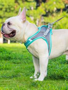 Reflective Vest-Style Dog Leash For Kittens, Small Dogs & Cats, Chest Harness Leash To Prevent Pulling, Escape-Proof For Small Pets - Multicolor - View 5