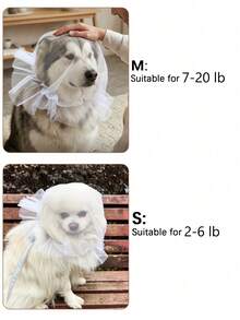 1个狗狗嘴套，方便透气防啃咬面罩，适合遛狗时佩戴，宠物头套可防止舔舐和啃咬 - 彩色 - 查看 5