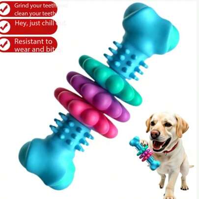 1pc Pet Bone Shaped Chew Toy, Soft Rubber Dental Massager Toothbrush, Chewing Toy For Puppy & Adult Dogs, Suitable For Pet Lovers/Multi-Pet Households