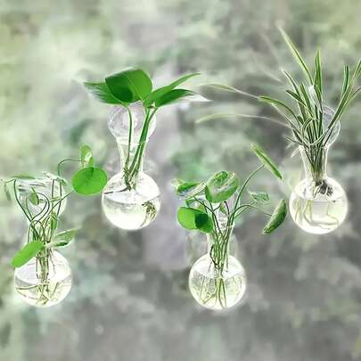 Bộ 2/4/6 chậu ươm cây treo tường - 2/4/6 chậu ươm cây mini treo tường, hình tròn tối giản hiện đại, chất liệu PET, thích hợp sử dụng trong nhà và ngoài trời, bao gồm nhiều thành phần.