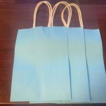 12个8英寸浅蓝色礼品袋，小巧精致，带提手，牛皮纸材质，适合生日、婚礼、情人节、单身派对装饰和礼物、新娘送礼会、婚礼回礼、万圣节、圣诞节装饰等场合。 - 淺藍色 - 查看 8