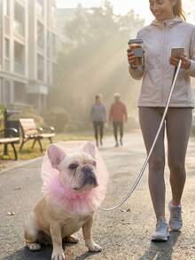 1个狗狗防吞咽口套，舒适透气，适用于中小型犬，防止啃咬、舔舐和吞食 - 彩色 - 查看 3