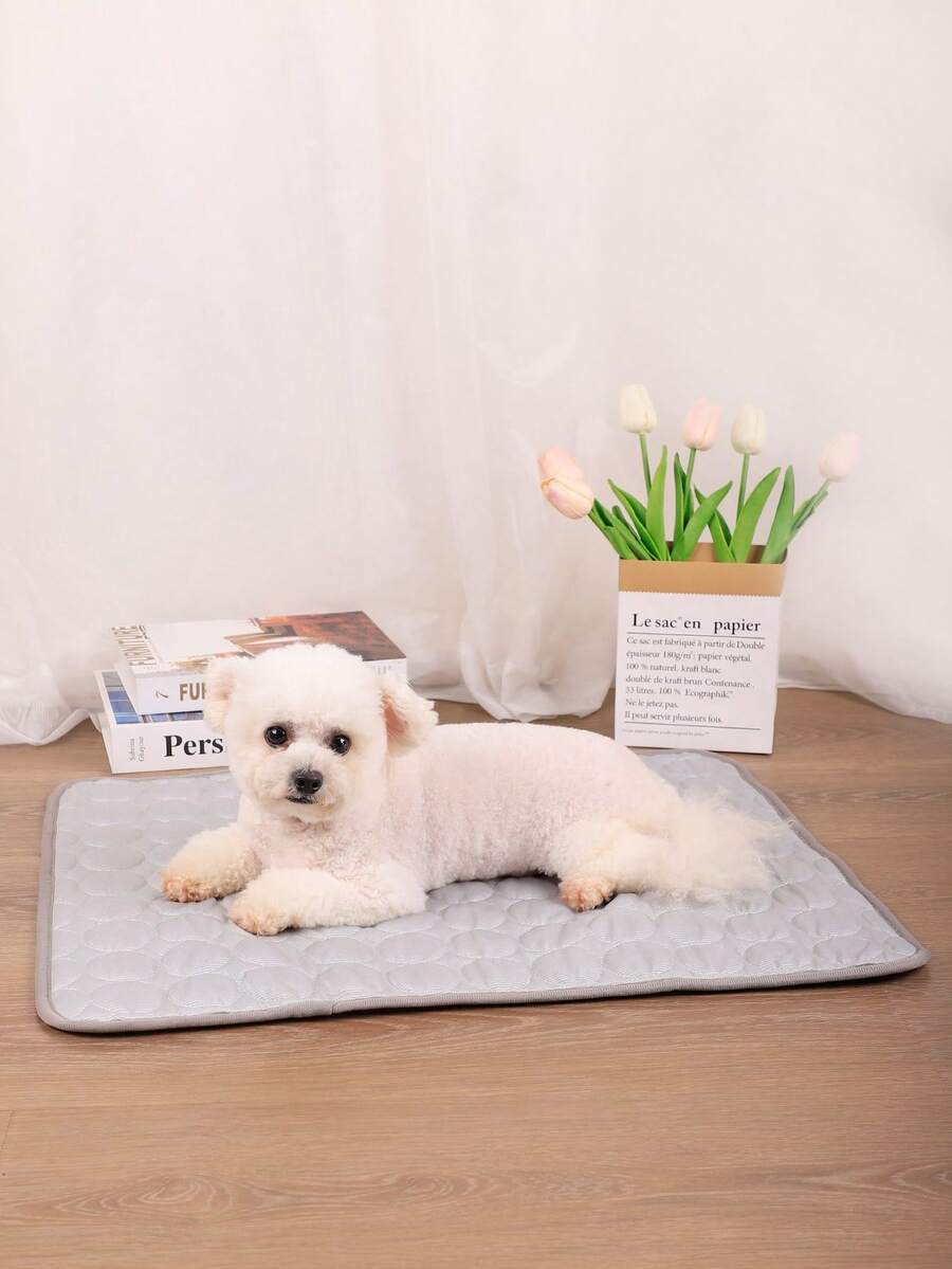 1pc Multi-Purpose Cooling Mat, Breathable & Washable Thin Pet Pad Suitable For Small/Medium/Large Cats & Dogs In Summer (Important Note: This Is A Thin Mat, Not A Thick Ice-Like Material) - Light Grey - View 1