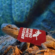 Bearded Dragon Adjustable Harness And Leash Set, Designed To Prevent Escape, Features A Comfortable Walking Vest And A 5-Foot Ty Leash, Perfect For Outdoor Activities, Park Outings, And Exploration - Red - View 4