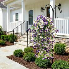 1 pièce Bouquet de pensées artificielles multicolores vibrantes - Fleurs artificielles durables et anti-oxydation avec feuilles vertes pour la décoration de la maison, du mariage et du jardin | Utilisation polyvalente à l'intérieur et à l'extérieur, sans entretien requis - violet blanc - Voir 2