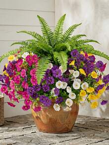 6pcs High-End Artificial Persian Fern Plants With Colorful Floral Design, UV-Resistant Lifelike Greenery, Suitable For Home Decor, Porch, Windowsill, Planter, Indoor Garden, Yard Decoration - Multicolor - View 6