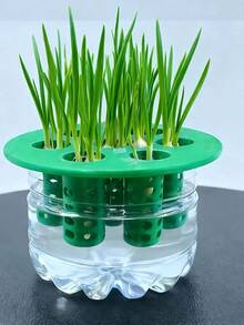 1pc 3D Printed Mold For DIY Hydroponic Planting Of Garlic & Green Onion - Multicolor - View 4