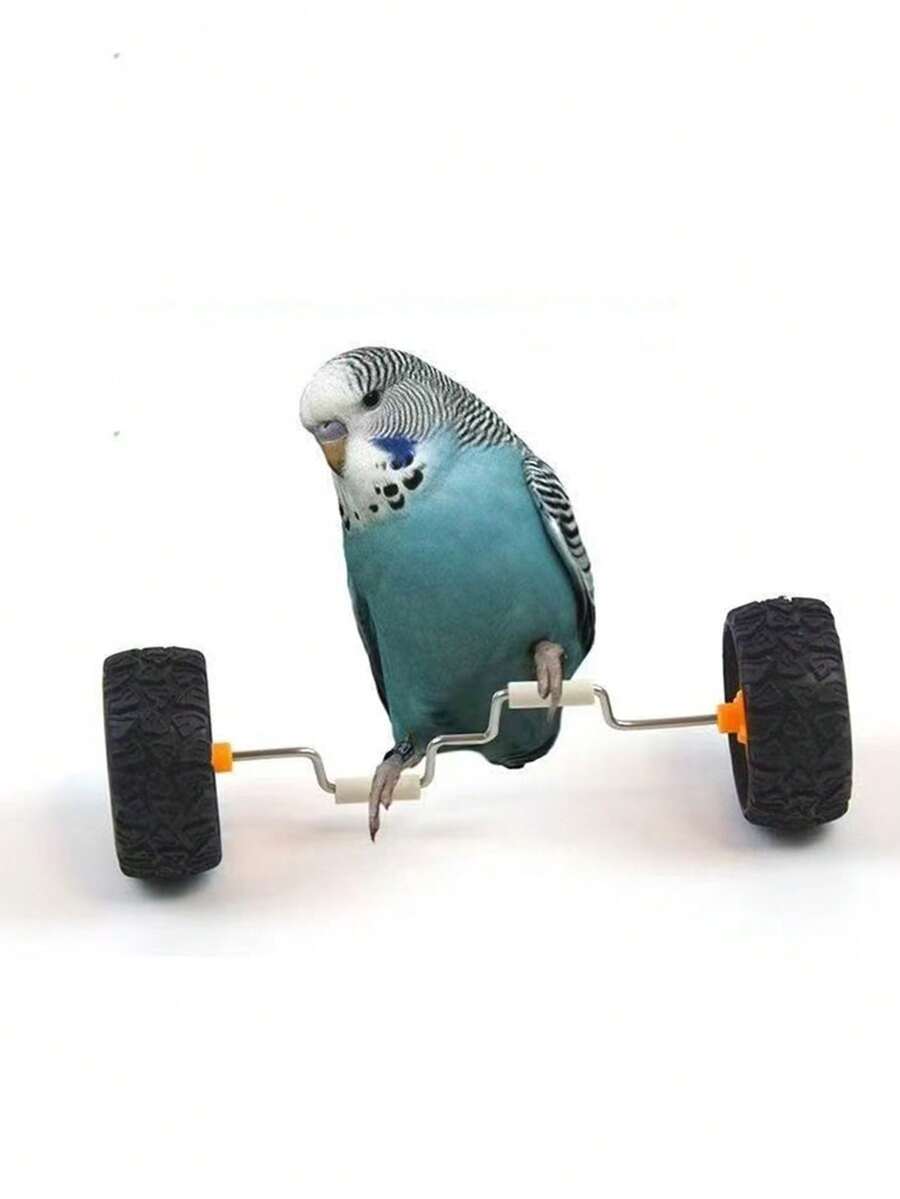 1件装宠物鸟鹦鹉解闷平衡板,小型/中型鸟类用品,轮滑滑板训练道具,适用于玄凤鹦鹉 - A - 查看 1