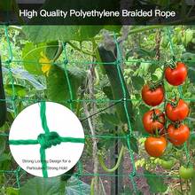 Lưới giàn leo PE chịu lực cao 200x500cm/6.6x16.4ft | Lưới nhựa màu xanh lá cây, thích hợp cho cây dưa chuột, cà chua, rau, quả, đậu ngọt. - Khung không gian - Xem 7