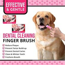 Silicone Finger Pet Toothbrushes Kit For Dogs Cats Dental Care Teeth Cleaning 360° Dog Finger Toothbrush - Multicolor - View 4